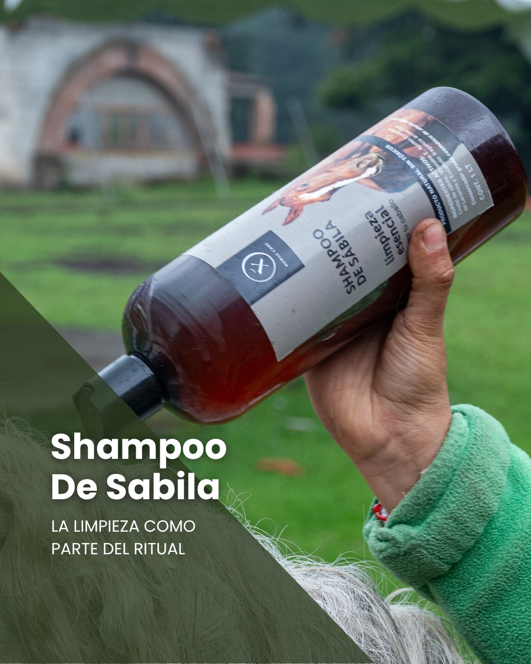 Shampoo de Sábila para Caballos – Limpieza Esencial 1 L | Xaman Horse Care