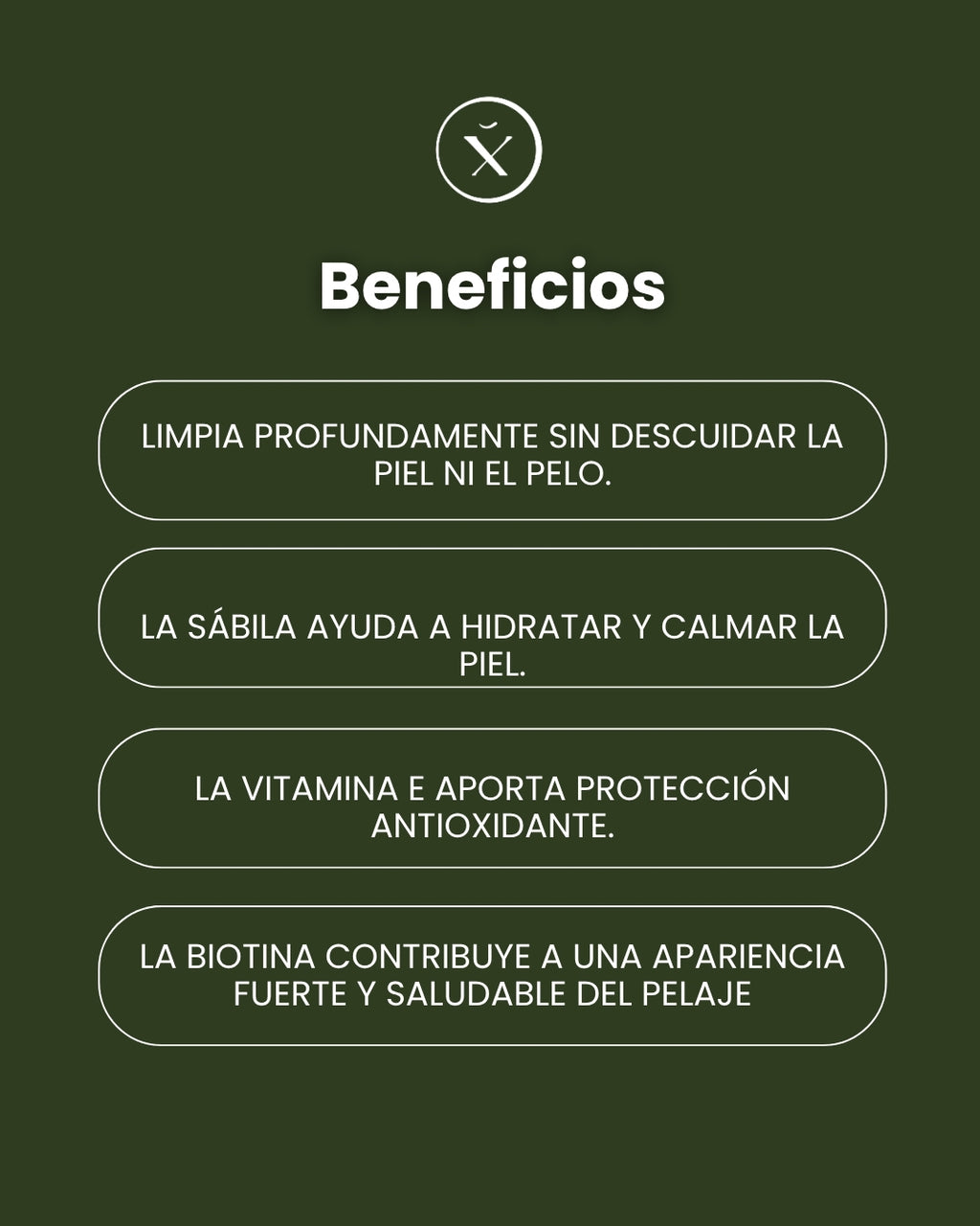 Shampoo de Sábila para Caballos – Limpieza Esencial 1 L | Xaman Horse Care
