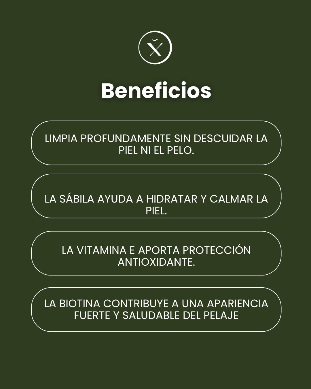 Shampoo de Sábila para Caballos – Limpieza Esencial 1 L | Xaman Horse Care