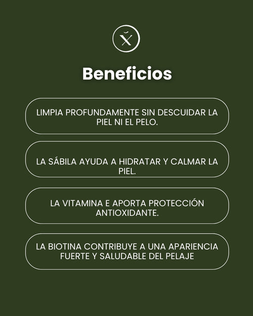 Shampoo de Sábila para Caballos – Limpieza Esencial 1 L | Xaman Horse Care